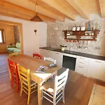 Diffuso - Cjasa Ustin-1 By Interhome *
