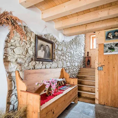 Diffuso - Cjasa Ustin-1 By Interhome Apartment Barcis